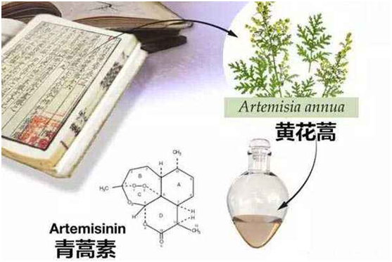 米兰平台客服,米兰（中国）：向中医药看齐，与世界共享中医药文化(图1)