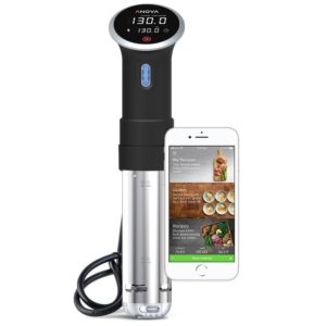 Best Sous Vide Machine To Buy In 2020  