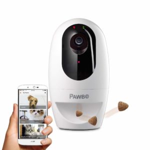 Best Pet Camera To Buy In 2020  